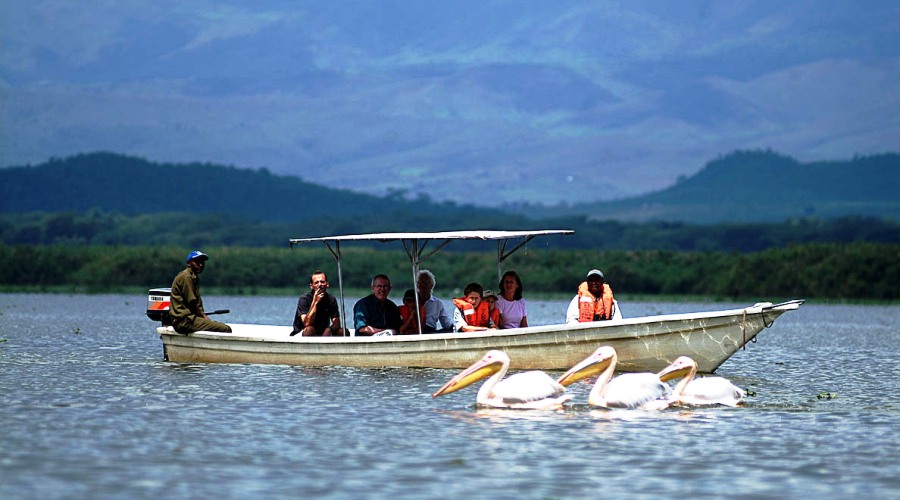 11days 10 Nights L.Naivasha , Hells gate, L.Nakuru, Maasai Mara ,Ngorongoro, L.Manyara ,Amboseli Kenya and Tanzania Safari