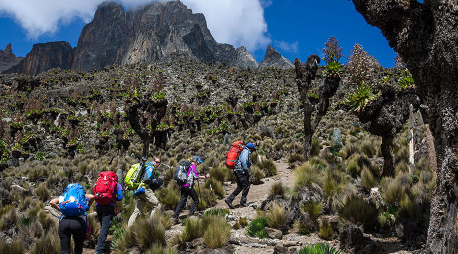 5 Days, 4 Nights Mt Kenya Trekking Sirimon To Chogoria