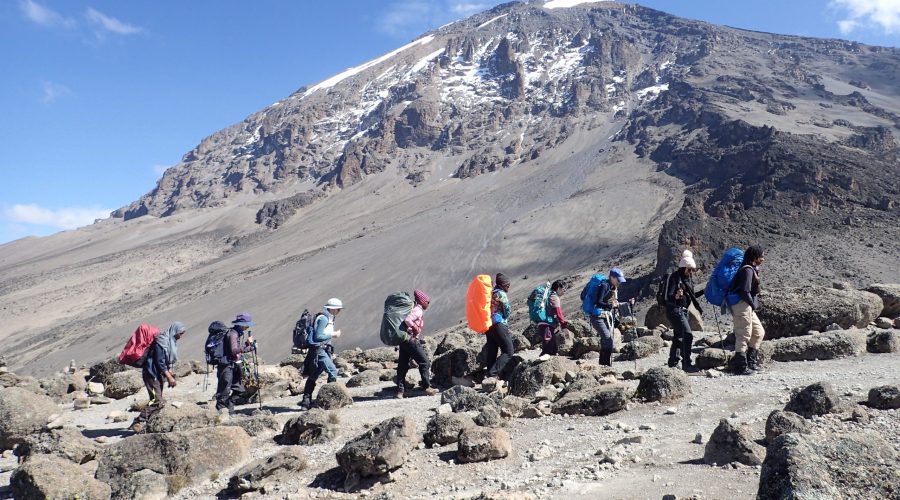 5 Days Mt Kilimanjaro Climbing Via Marangu Route