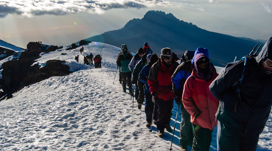 8 Days, 7 Nights Mt Kilimanjaro Climbing Via Lemosho Route