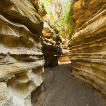 Hell’s Gate National Park Day Trip